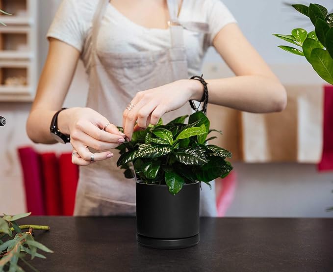 D'vine Dev Set of 4 Small Ceramic Plant Pots, 4.6 Inch Succulent Planter Pot for Plants with Drainage Hole and Saucer, Black, 94-X-B-2