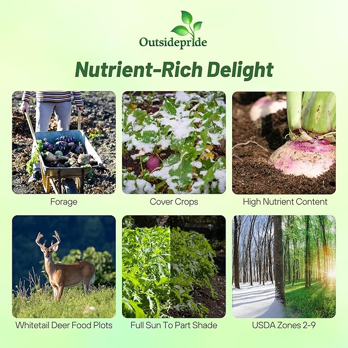 Outsidepride Purple Top Turnip Seeds - 5 Lbs High-Yield, High Protein Turnip Seed, Ideal Cover Crop, for Forage, Grazing Livestock, High Energy Deer Food Plot & Soil Improvement