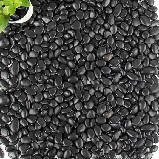 45lb Black Pebbles for Plants,Potting,Succulents Aquarium Fish Tank Vases Decorative Garden Polished Gravel Rocks Stones