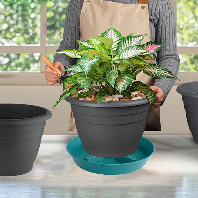 4 Pack Plant Saucer 8 inch, 10 12 14 17 inch, Plant Stand Plastic Plant Saucers for Indoors Outdoor, Heavy Duty Flower Planter Drip Trays for Pots, Pot Saucers for Plants, Grow Bags Saucers