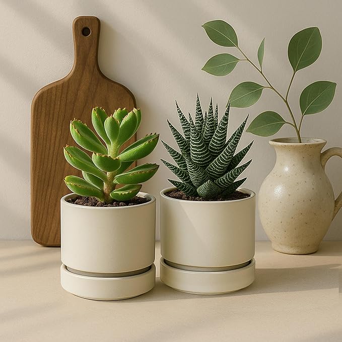 Phoenix Vine 4 Inch Planter Pot with Drainage Hole & Saucer, Deep Water Catch Tray, Straight Cylindrical Round Pot for Plants, Oatmeal, Pack of 4, 23-E-R-4