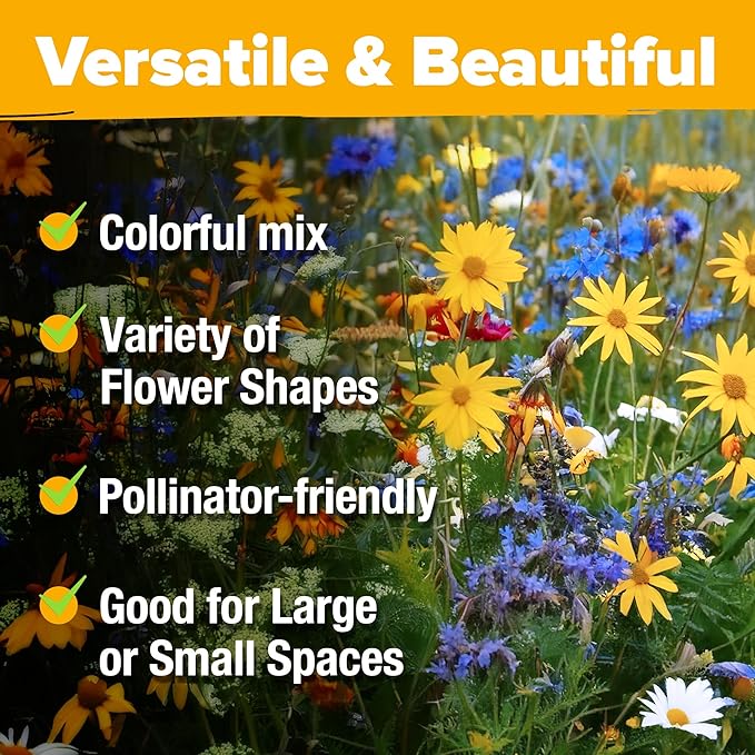 HOME GROWN 𝗨𝗦𝗔 𝗣𝗥𝗘𝗠𝗜𝗨𝗠 90,000+ Wildflower Seeds Mix 3oz 24 Varieties Non-GMO Perennial Flower Seeds for Planting Outdoors Butterfly & Pollinator Flower Mix Attract Bees Birds & Hummingbirds