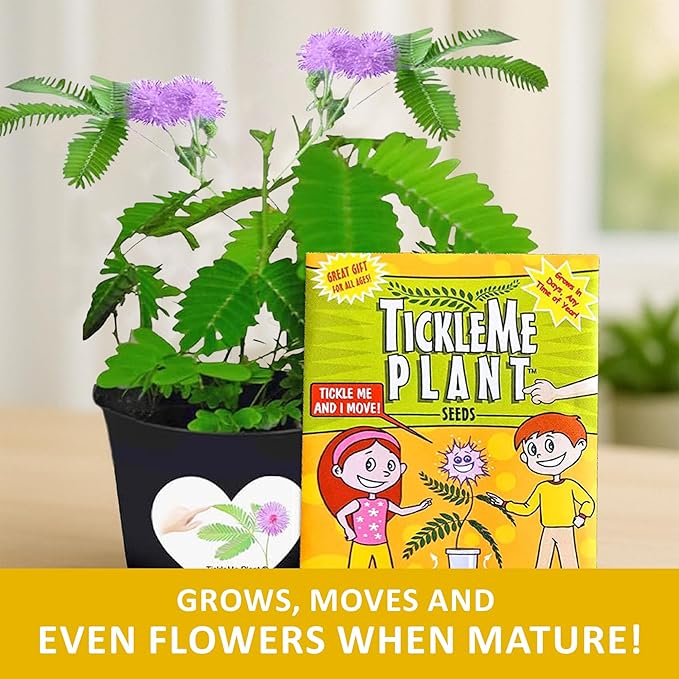 TickleMe Plant Classroom or Homeschool Science Fun Planting Party Kit – for 30 Students – Grow a Sensitive Plant That Reacts to Touch – Includes Activity Book and Seeds for Kids to Plant
