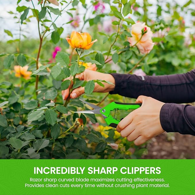 GARDEN GURU Razor Sharp Snip – Professional Garden Pruning Shears Trimmers – Super Sharp Micro-Tip Precision Stainless Steel Blades - Ergonomic Handles Easy on Arthritic Hands - 1 Case (100 Pcs)