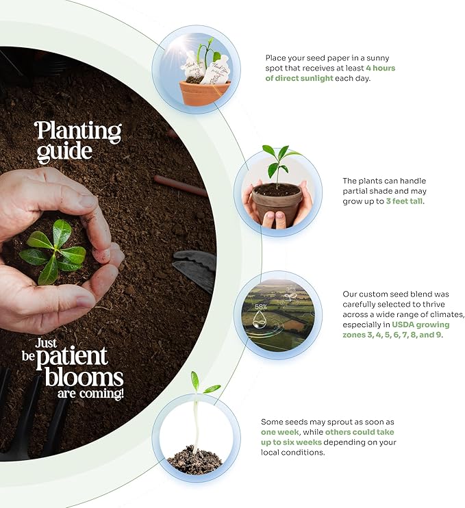 Wildflower Seed Paper - Set of 24 Mixed Heart-Shaped with Envelopes and Planting Instruction, Writable & Plantable Gift for Moms and Plant Lovers, Ideal for Wedding, Memorial, Baby Showers