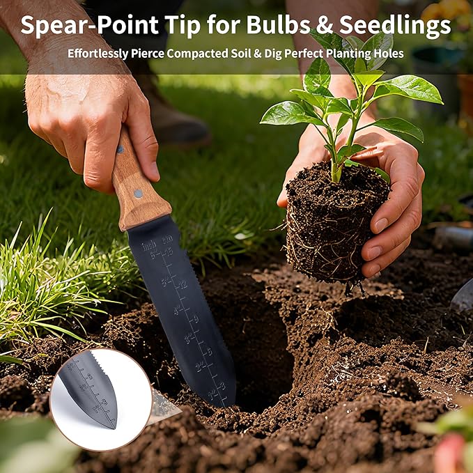 YANG Hori Hori Garden Knife, 7" Stainless Steel Gardening Knife with Oxford Cloth Sheath, Full Tang Beechwood Handle EDC Garden Tool for Digging, Planting & Weeding, Pointed Tip for Hard Soil