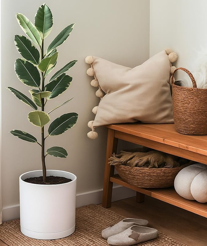 D'vine Dev 10 Inch Plastic Planter Pots for Plant Pot with Drainage Hole and Seamless Saucers, White Color, 74-X-A-2