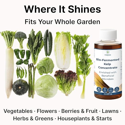 Liquid Seaweed Fertilizer for Plants with Soil Activator, Fermented Organic Liquid Kelp Fertilizer for Vegetables, Indoor and Outdoor Plants - Made in USA (8 OZ)