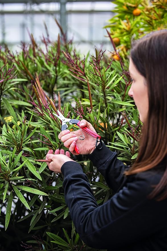 Felco F321 Pruning Snips – 7" Swiss-Made Garden Clippers with Curved Blade & Rounded Tip | Pruning Shears for Gardening | Garden Snips and Pruners with Carbon Steel Blade, Sap Groove