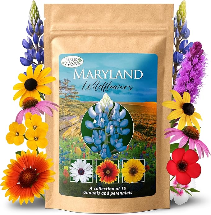 Created By Nature Maryland Wildflower Seed Mix, 15 Flower Varieties, 50,000 Seeds
