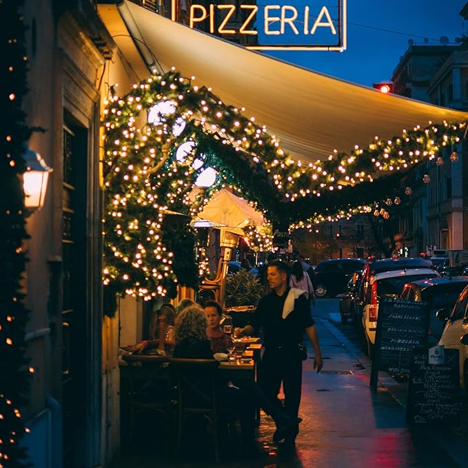 Christmas Tree Lights Outdoor, 205Ft 600 LED Twinkle Fairy Lights String Lights with 8 Light Modes for Christmas LED Garland Wreath Wedding Indoor Holiday Decorations with Dark Green Wire, Warm White