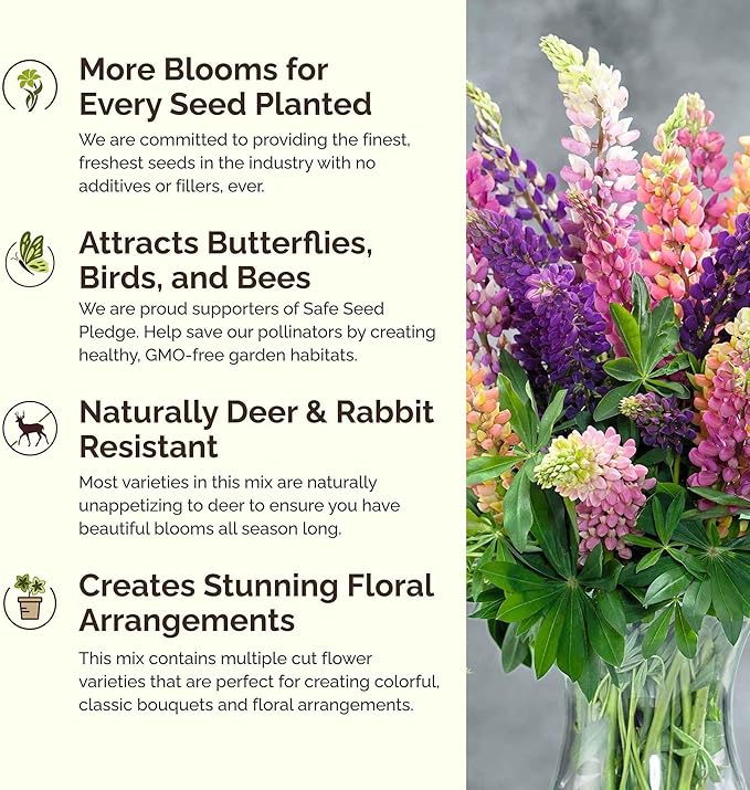 Eden Brothers Lupine Flower Mixed Seeds for Planting, 5 lb, 2,400,000+ Seeds with Russell, Arroyo, Yellow, Sky Lupine | Attracts Pollinators, Plant in Spring or Fall, Zones 3, 4, 5, 6, 7, 8, 9, 10