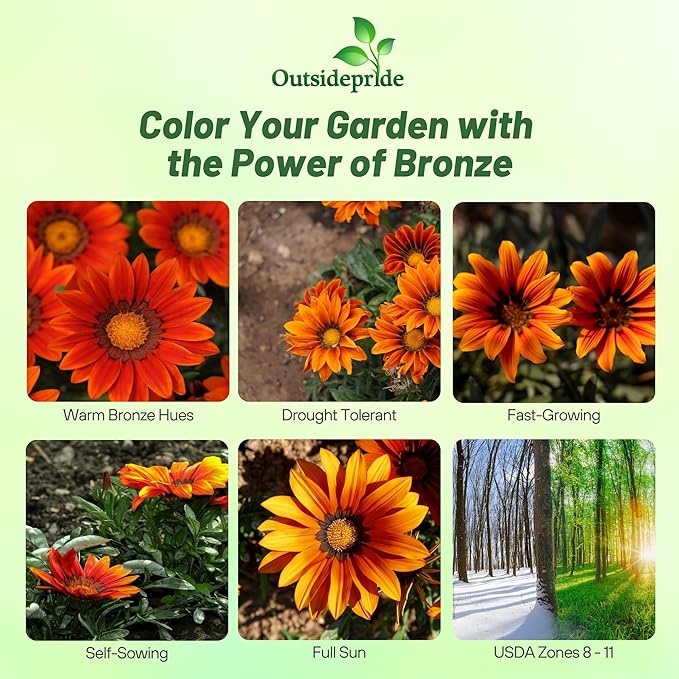 Outsidepride New Day Bronze Gazania Seeds for Planting – 50 Pcs Perennial, Low-Maintenance, Drought-Tolerant Ground Cover Seeds for Vibrant Summer & Fall Flowers, Great for Outdoor Gardens