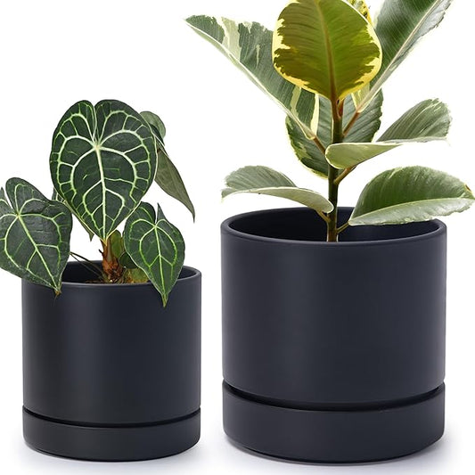 Phoenix Vine 6 Inch and 8 Inch Planter Pot with Drainage Hole & Deep Water Catch Tray Saucer, Straight Cylindrical Round Pot for Plants, Matte Black, 23-A-2-Y