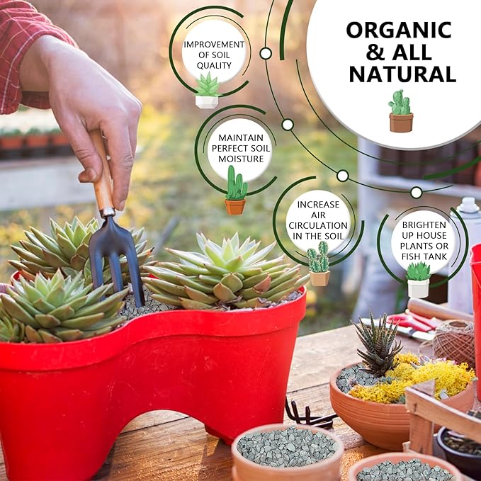 2 LBS Blue Pea Gravel, Natural Succulent and Cactus Gravel Pebbles, Pebbles for Indoor Plants, Natural Gardens Mulching, for Houseplants, for Aquarium Gravel, to Maintain Soil Aeration(4-6mm)