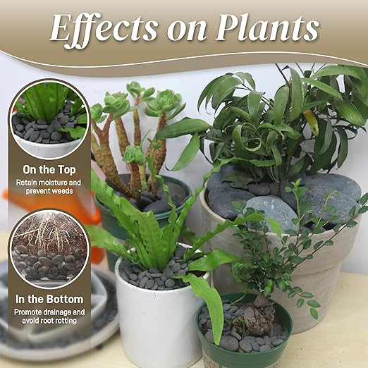 5 lbs Mexican Beach Pebbles, 0.4-1 Inch Natural River Rocks for Indoor Plants Vase Fish Tank Aquarium Fountain, Decorative Stone for Landscaping Garden Paving Walkways Backyard, Grey