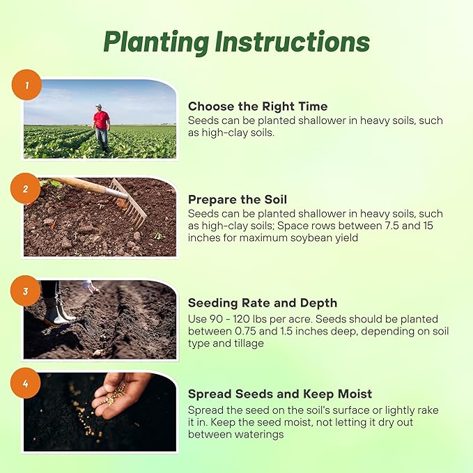 Outsidepride Soybean Seeds - 5 lbs High-Protein & High Yield Heirloom Variety Soy Beans, Ideal for Oil Processing, Forage, Animal Food Plots, & Wildlife Feed for Poultry & Other Farm Animals