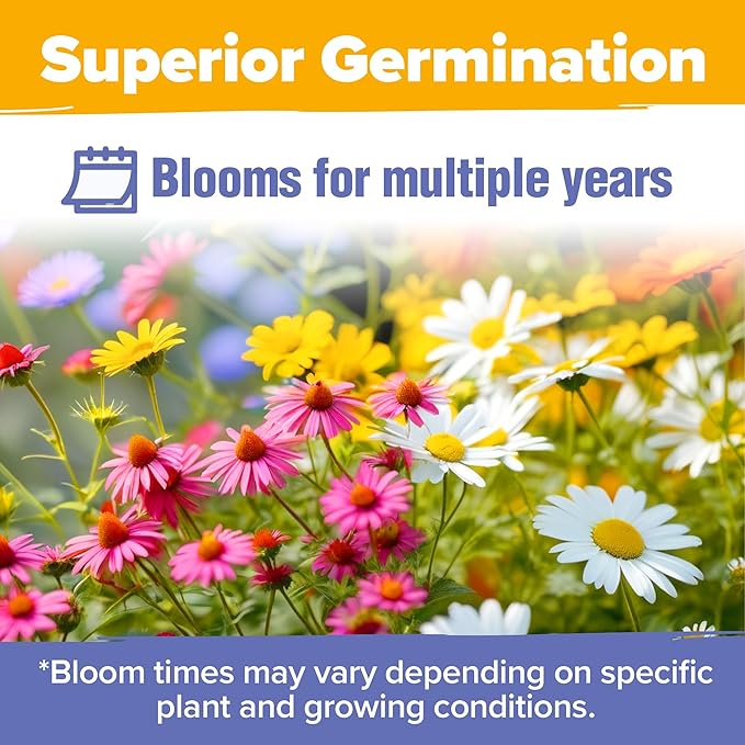 HOME GROWN 𝗨𝗦𝗔 𝗣𝗥𝗘𝗠𝗜𝗨𝗠 Wildflower Seeds - 44,000 Non GMO USA Perennial Seeds (2oz) 19 Varieties for Butterfly & Pollinator Garden - Wild Flower Seed Mix for Full Sun & Shade
