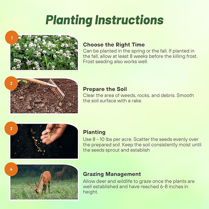 Outsidepride Perennial Clover King Seed Mix - 10 lbs Nitrocoated, Inoculated, Heat & Cold Tolerant, Alfalfa-Enhanced Food Plot Seeds for Deer & Wildlife, Ideal for Spring, Summer, & Winter Plots