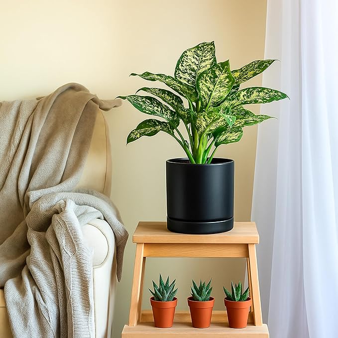 D'vine Dev 6.5 Inch & 8.2 Inch Ceramic Planter Pots for Plants with Drainage Hole and Saucer, Medium Plant Pots Set, Black, 94-G-M-2