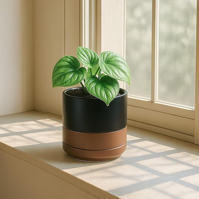 D'vine Dev 3 Inch & 4 Inch & 6 Inch, Set of 3 Round Ceramic Planter Pot with Drainage Hole and Saucer, Black/Speckled Tan, 94-T-S-7