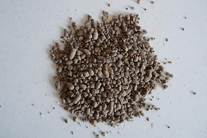 Earth Science Wildflower Pollinator Mix— 6 lb—3-in-1 Mix with Premium Wildflower Seed, Plant Food and Soil Conditioners, Non-GMO, for Bees, Hummingbirds, Butterflies, Pollinators