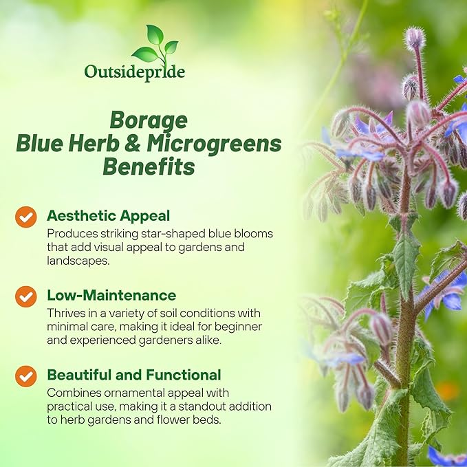 Outsidepride Blue Borage Seeds for Planting – 1 lb. Annual, Drought-Tolerant Herb Seeds with Star-Shaped Blooms, Attracts Bees for Pollinator Gardens, Summer Teas, Decoration & Culinary Use