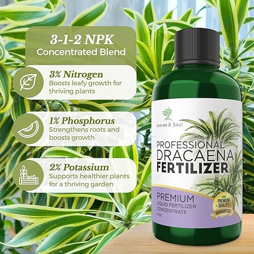 Professional Liquid Dracaena Plant Fertilizer | 3-1-2 Concentrate for Indoor Plants | Multi-Purpose Blend & Gardening Supplies | 8 oz Bottle
