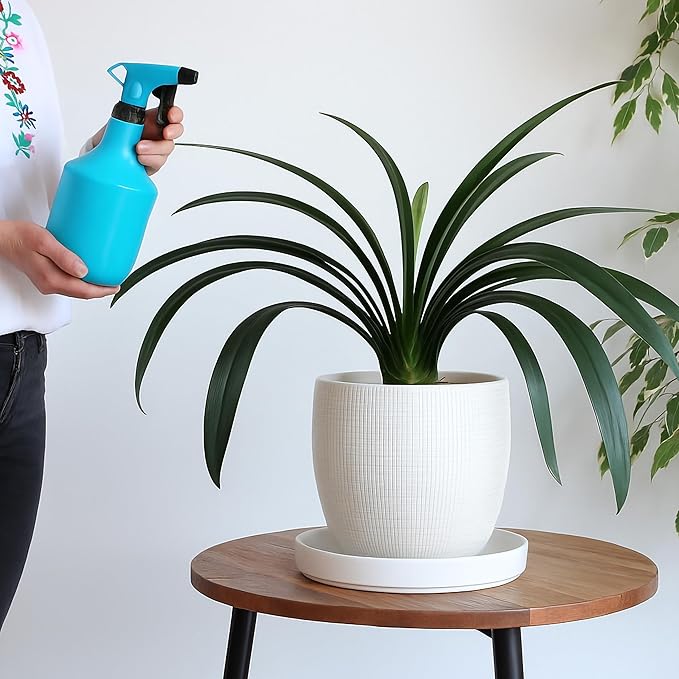 D'vine Dev Modern Round 10.4 Inch Ceramic Plant Pot Saucer, Planter Pot Drainage Tray for Indoor Plants, Matte White, 97-T-A-5