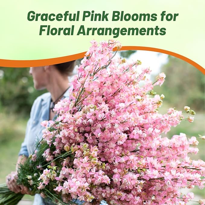 Outsidepride Delphinium Pink Larkspur Seeds for Planting Outdoors - 1000 Pcs Annual, Self-Seeding, Heat & Drought Tolerant Wildflower Seeds, Colorful Blooms for Flower Arrangement & Pollinator Garden