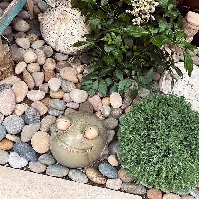 Natural River Rocks-5 lbs of Pebbles and River Stones,2-3 Inch Plant Rocks for Landscaping,Garden Paving,Crafting,Walkways,and Outdoor Decorative Stone,Mexican Beach River Rocks