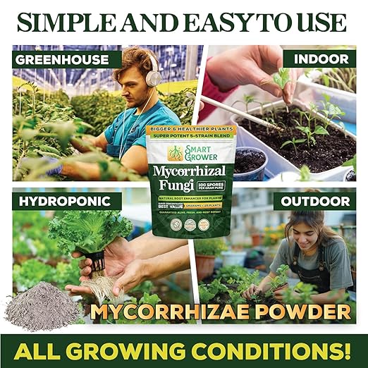 Mycorrhizal Fungi Organic Root Enhancer for Plants, Super Potent 100 Spores Pe, 5-Strain Bler Gramnd, Ra Respidults for Gardens, Houseplants, Lawns, Mycorrhizae Smart Grower 125 Grams for 125 Plants