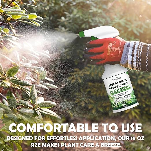 Neem Oil Spray for Plants with Peppermint – Gentle Leaf Maintenance for Indoor and Outdoor Greenery, 16oz