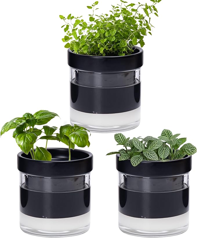 Phoenix Vine 4 Inch Self Watering Planter Pot, Black Terracotta Clay Pot with Glass Reservoir for Indoor Plants, Herbs, Flowers, Set of 3, 52-C-E-3