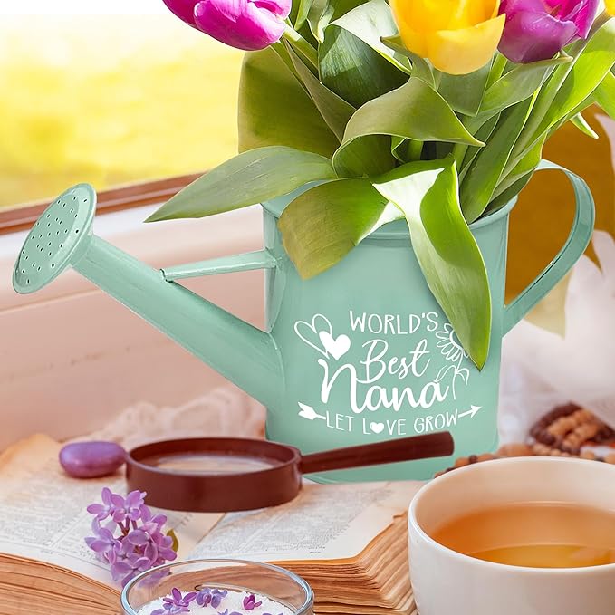 Hexagram Nana Gifts, Birthday Gifts for Nana, Gardening Present for Nanna, Mint Metal Watering Can for Grandma, Best Nanna Watering Can from Grandkids, Nonna Christmas Mothers Garden Present Idea