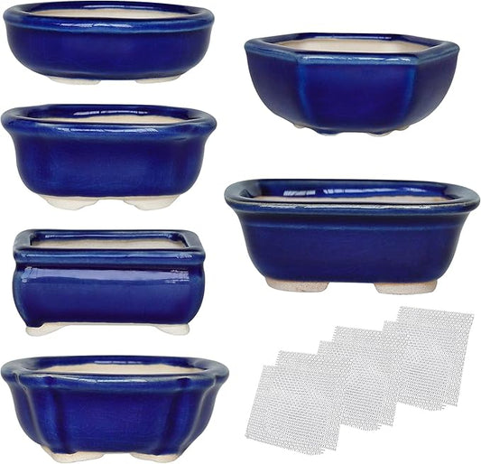 Bonsai Planter 6 pc Mini Glazed Succulent Pots Value Set + 6 Soft Mesh Drainage Screens
