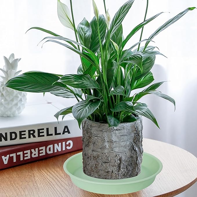 4 Pack of 14 inch Plant Saucers Bird Bath Bow Round, Plastic Plant Saucer Tray for Pots, White Planters for Indoor Plants, Plant Trays for Planter 12-15" (14", Light Green)