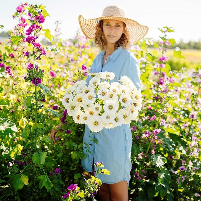 Eden Brothers Zinnia Seeds - Polar Bear, Non-GMO Seeds for Planting, 1/4 lb | Low-Maintenance Flower Seeds, Plant During Spring, Zones 3, 4, 5, 6, 7, 8, 9, 10