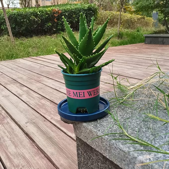 Ceramic Plant Saucer 5 Inch, 2 Pack Round Plant Saucers for Indoors/Outdoors, Flower Pot Saucers for Holding Water Drips and Soil, Ceramic Drainage Tray for Plant Pot (Blue)