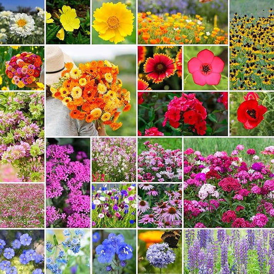Eden Brothers Heirloom Flower Mixed Seeds for Planting, 1 lb, 480,000+ Seeds with Zinnia, Toadflax, Evening Primrose | Attracts Pollinators, Plant in Spring or Fall, Zones 3, 4, 5, 6, 7, 8, 9, 10