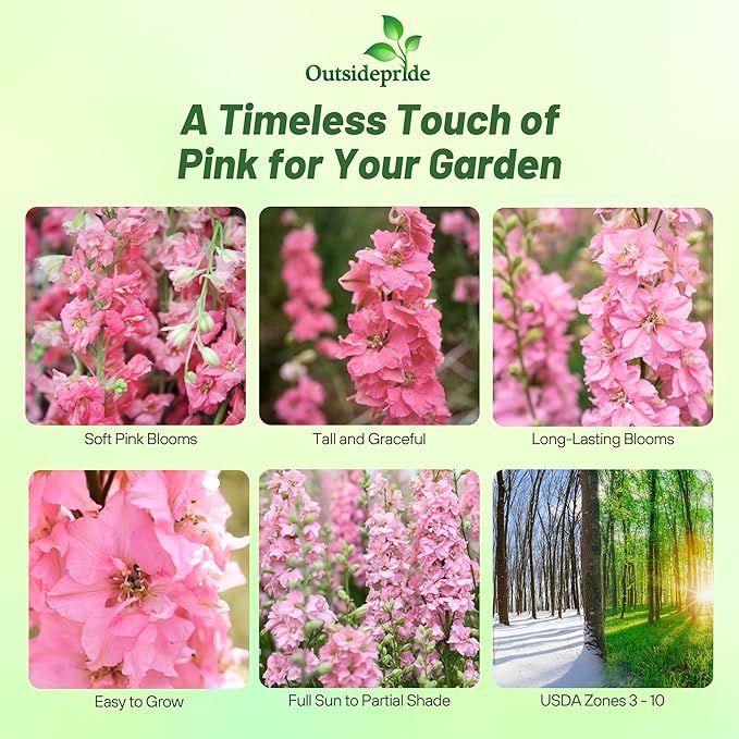 Outsidepride Delphinium Pink Larkspur Seeds for Planting Outdoors - 2000 Pcs Annual, Self-Seeding, Heat & Drought Tolerant Wildflower Seeds, Colorful Blooms for Flower Arrangement & Pollinator Garden