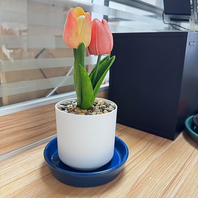 4 Pack of Plant Saucer, 5 inch Glazed Ceramic Plant Tray, Deep Drainage Tray for 4 Inch Flower Pot,Plant Dish Plate to Catch Water for Indoor & Outdoor