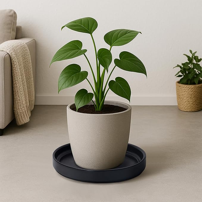 D'vine Dev Modern Round 10.4 Inch Ceramic Plant Pot Saucer, Planter Pot Drainage Tray for Indoor Plants, Matte Black, 97-T-B-5