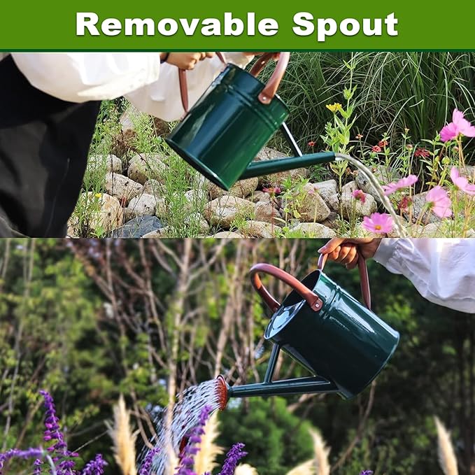 Metal Watering Can with Removable Spout, Galvanized Watering Can, Perfect for Indoor Use and for Outdoor Use (1 Gallaon, Green)