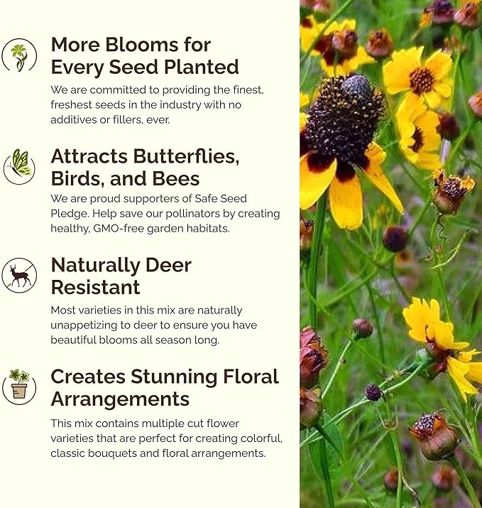 Eden Brothers Conehead Flower Mixed Seeds for Planting, 1 lb, 480,000+ Seeds with Prairie Coneflower, Mexican Hat | Attracts Pollinators, Plant in Spring or Fall, Zones 3, 4, 5, 6, 7, 8, 9, 10