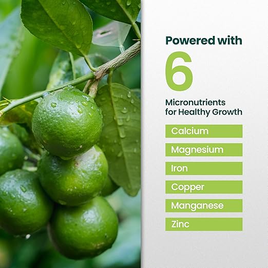 32oz Citrus Tree Fertilizer for Lime Trees Live Plants - Makes 32 Gallons of Liquid Lime Tree Fertilizer - Ideal Citrus Plant Food, Promotes Healthy Trees and Zesty Fruits for All Limes