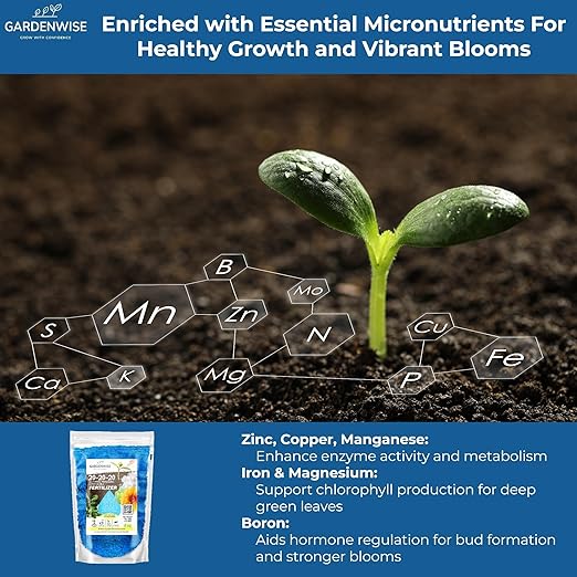 20-20-20 Water-Soluble Fertilizer – Powder for Liquid Plant Food for Indoor & Outdoor Plants, Orchids, Vegetables, Lawns, Flowers – 20 20 20 Fertilizer 1 Quart (2 lbs)