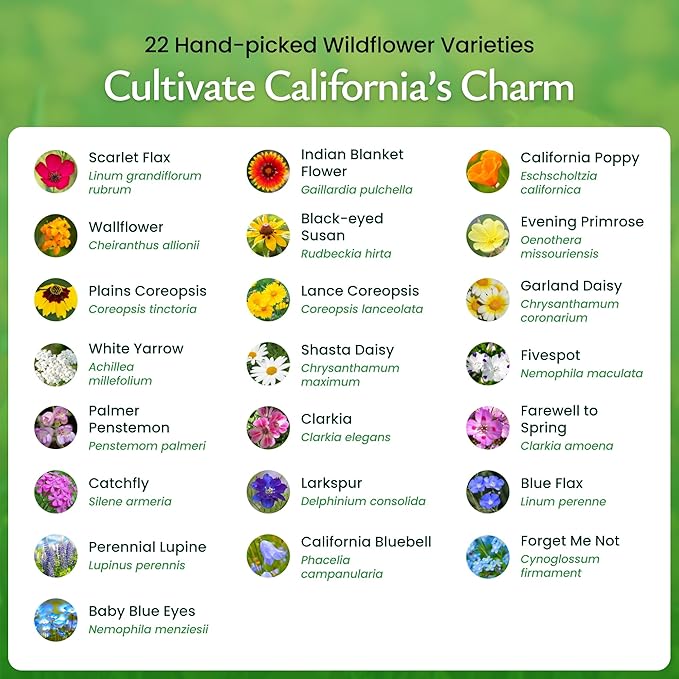 Created By Nature California Wildflower Seed Mix with Poppies, 22 Flower Varieties, 54,000+ Seeds