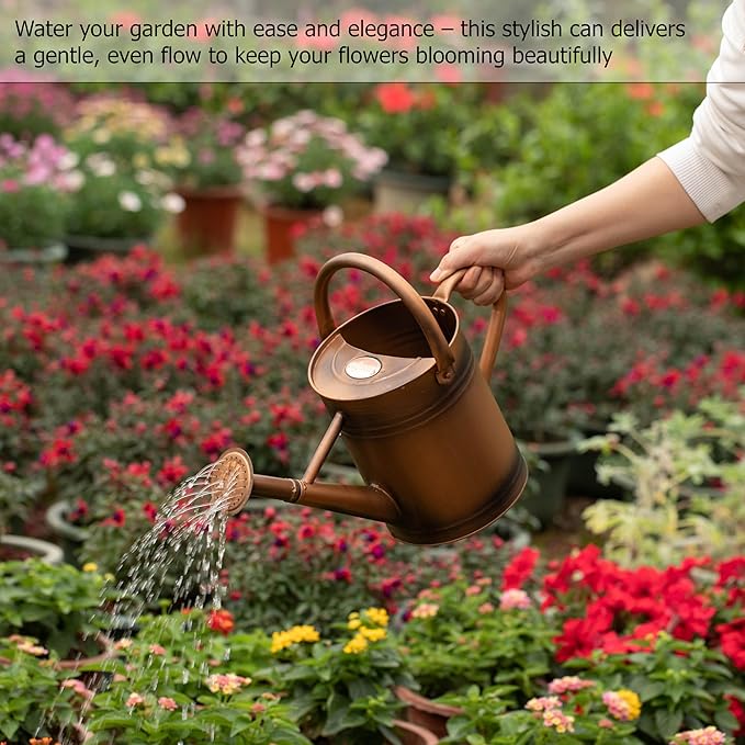 Gardenised 1 Gallon Metal Watering Can with Removable Long Spout & Sprinkler Head for Indoor & Outdoor Use Ideal for Garden Flowers Potted Plants Houseplants Modern Decorative Home Accessories, Bronze