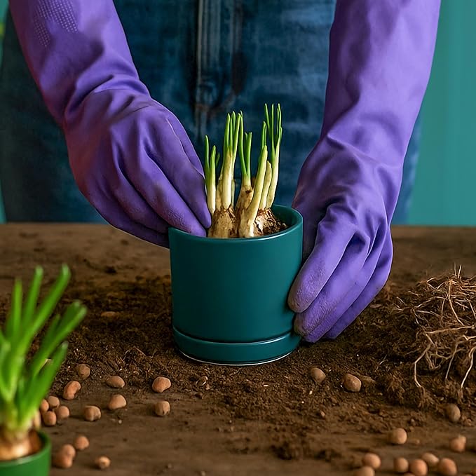 D'vine Dev Set of 3 Plants Pots, 3.5 Inch Ceramic Planter Pot for Plants with Drainage Hole and Saucer, Teal, 94-N-A-9